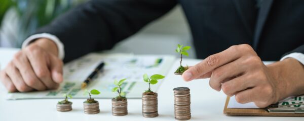 Les subventions d'investissement