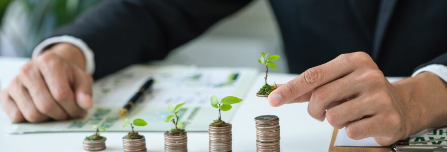 Les subventions d'investissement